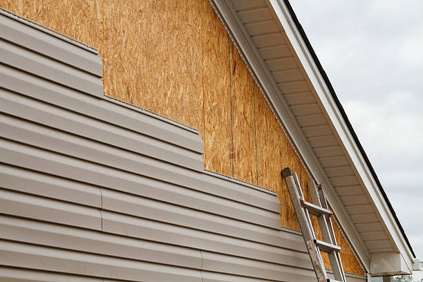 Professional Siding Repair technician working in Augusta, OH